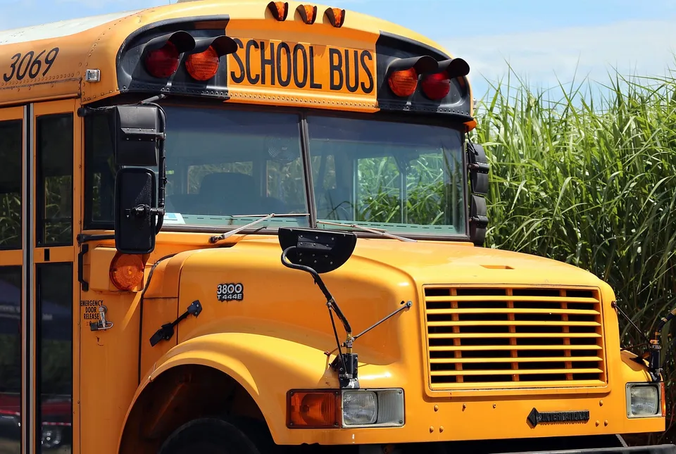 school bus, school, bus, transport, training, vehicle, yellow, back to school, to learn, school bus, school bus, school bus, school bus, school bus, bus, bus